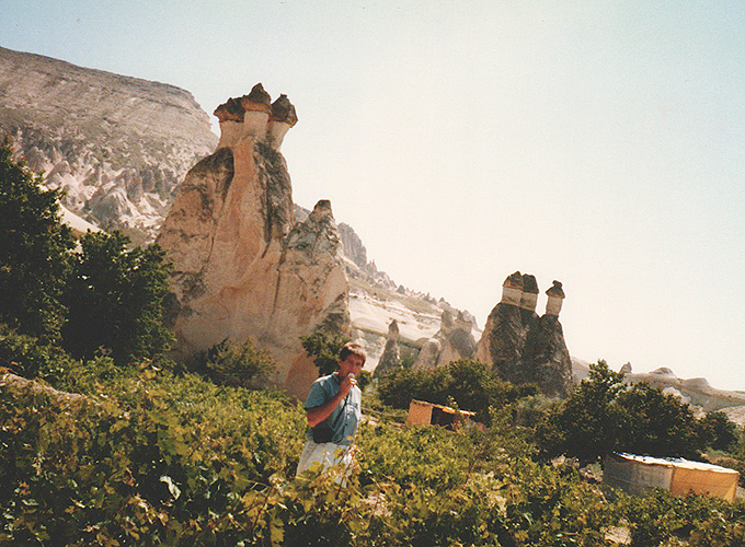 トルコ 世界遺産「ギョレメ国立公園およびカッパドキアの岩石遺跡群」キノコのような奇岩