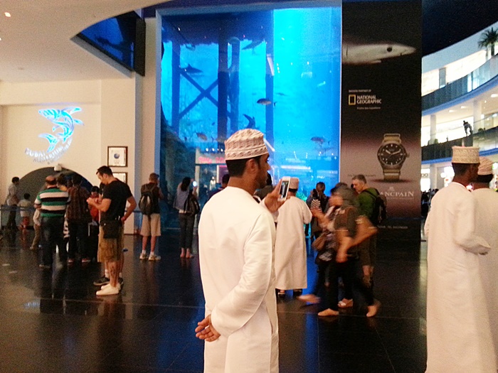 Dubai Mall Dubai Aquarium