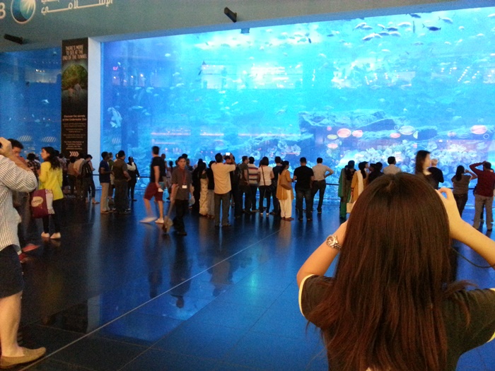 Dubai Aquarium in Dubai Mall