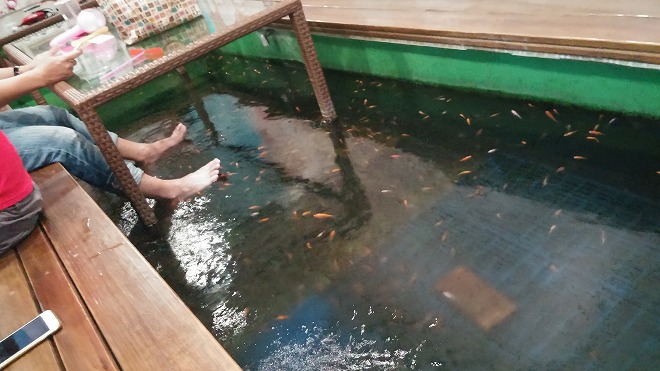 台湾 淡水埠頭 金魚の水槽の食堂