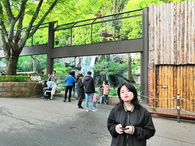 韓国エバーランド 虎の「ガラス・ケージ」