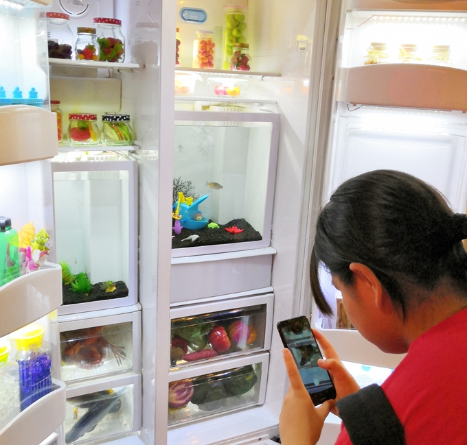 韓国 ソウル Coexアクアリウム 冷蔵庫の中に水槽
