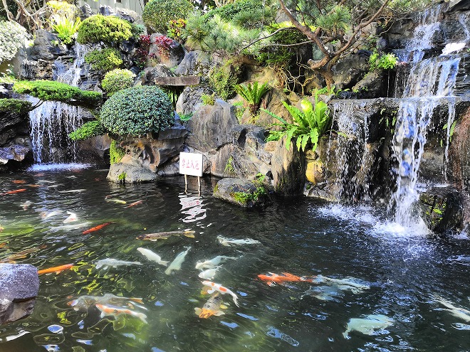 淡江大学 海事博物館の横にある池
