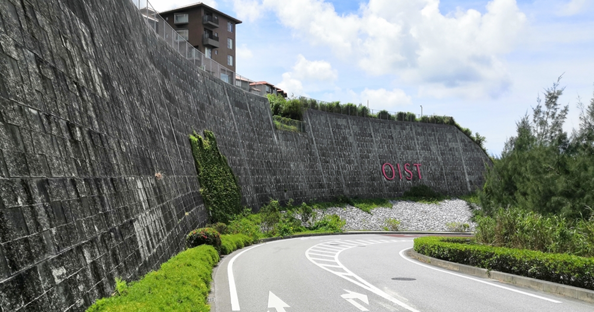 The entrance slope of Okinawa Institute of Science and Technology Graduate University (OIST) in Onna Village.
