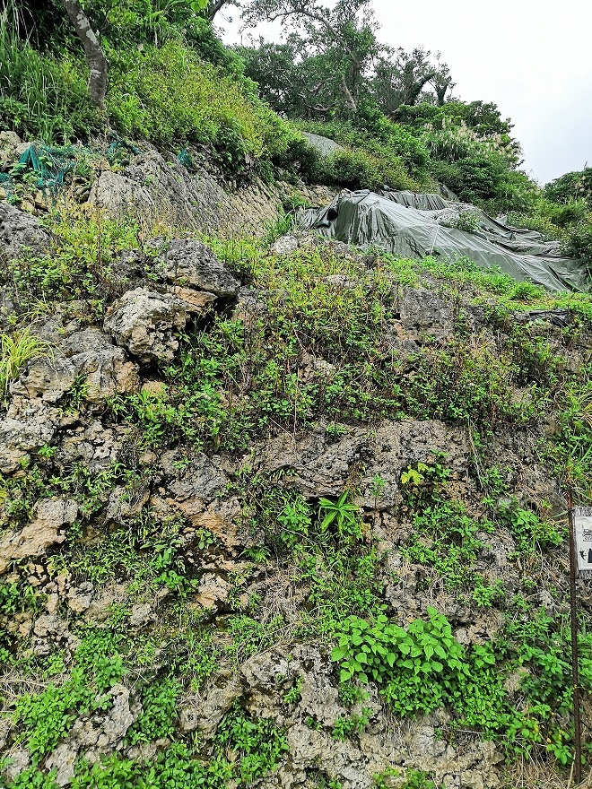 浦添城跡/浦添グスクの近年発見された高度な技術を使った石垣