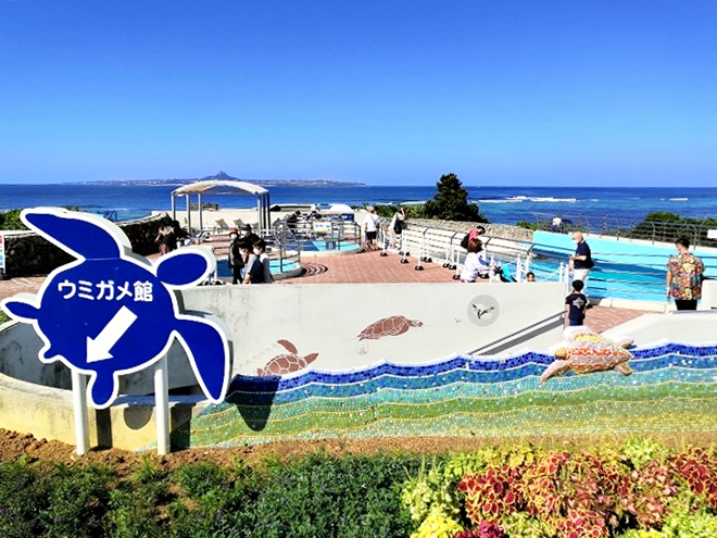 沖縄海洋博公園・ウミガメ館