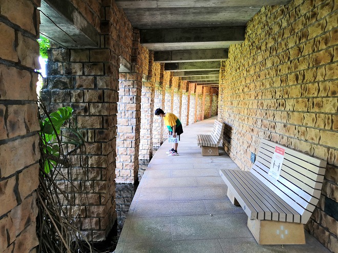 沖縄海洋博公園 熱帯ドリームセンター「ロータスポンド（蓮の池）」の廊下