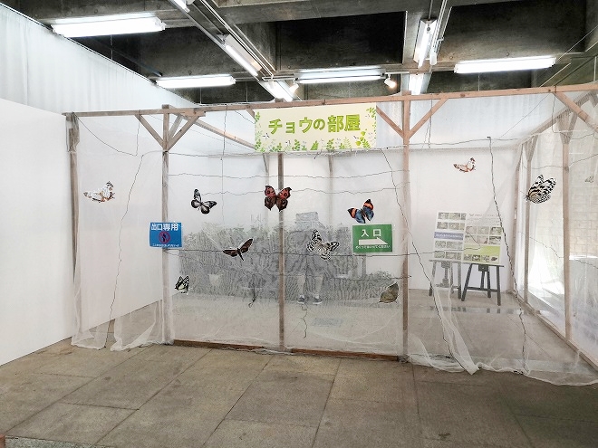 沖縄海洋博公園 熱帯ドリームセンター「展示室」チョウの部屋