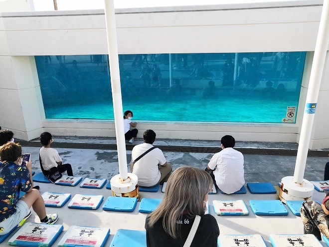沖縄海洋博公園 オキちゃん劇場 水槽の覗き窓