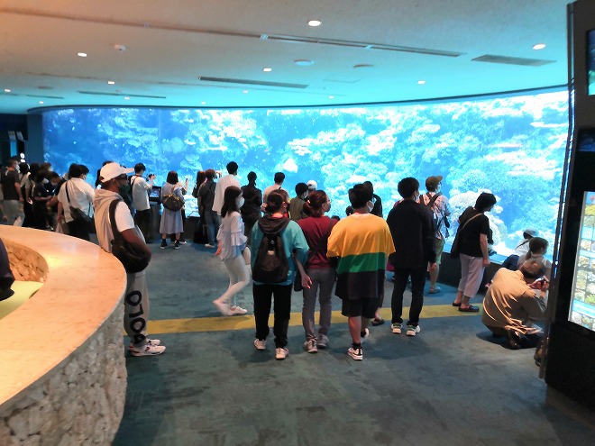 沖縄美ら海水族館 アクアブルーの水槽
