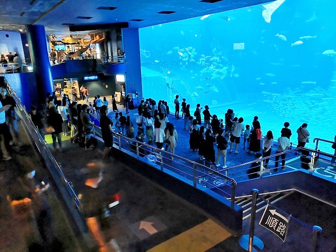 沖縄美ら海水族館 メイン水槽「黒潮の海」