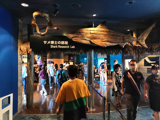 沖縄美ら海水族館「サメ博士の部屋」