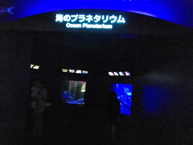 沖縄美ら海水族館「海のプラネタリウム」