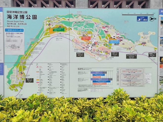 沖縄海洋博公園 熱帯・亜熱帯都市緑化植物園の海洋博公園マップ