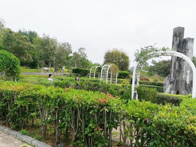 沖縄海洋博公園 熱帯・亜熱帯都市緑化植物園「生垣迷路」