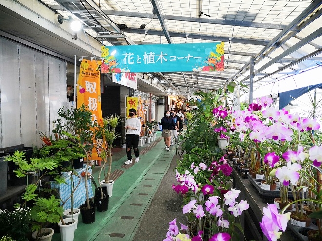 恩納村 なかゆくい市場「おんなの駅」「花と植木のコーナー」