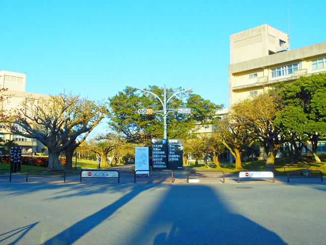 西原 琉球大学 千原キャンパス中城口（東口）の信号