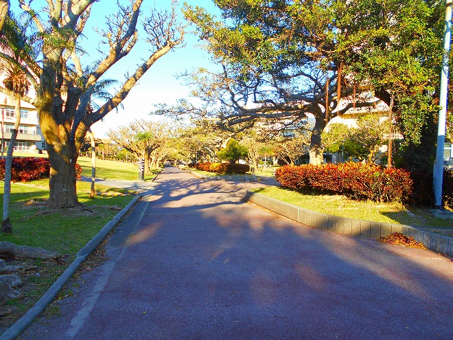 西原 琉球大学 千原キャンパス共通教育棟と国際地域創造学部の間の道