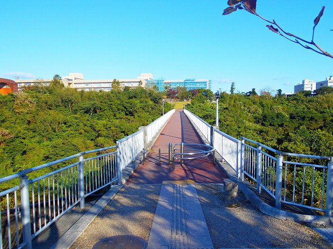 西原 琉球大学 千原キャンパス 千原池の「球陽橋」