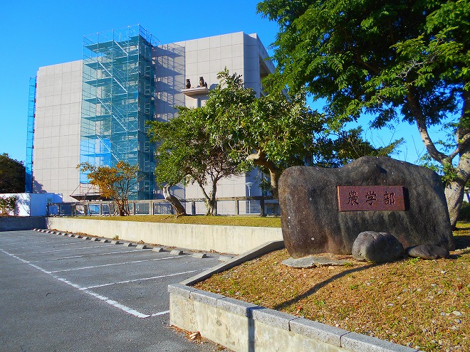 西原 琉球大学 千原キャンパス「農学部棟」