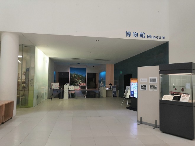 沖縄県立博物館・美術館「おきみゅー」