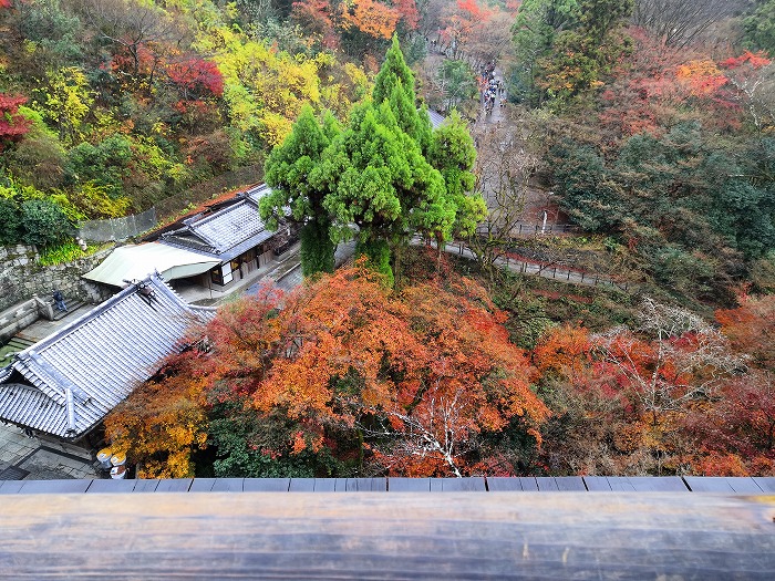 The scenery seen from the stage of Kiyomizu.