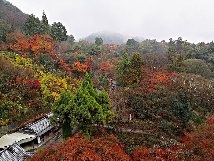 The foreground seen from Kiyomizu stage.