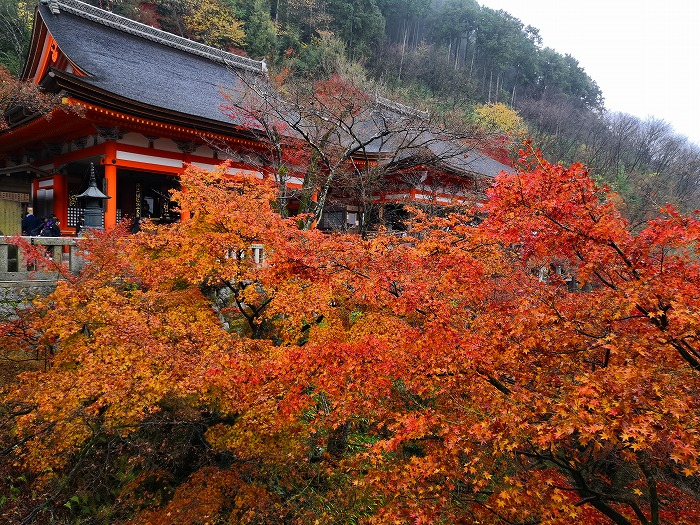 Kiyomizu Temple Amidado and Okunoin.