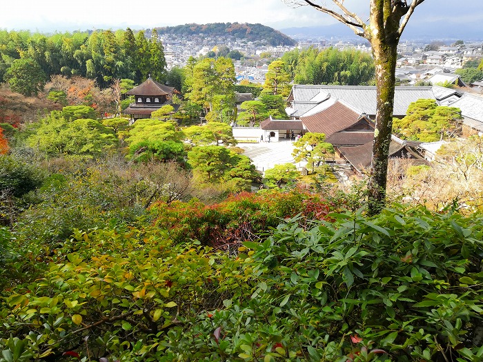 The view from the hill of Ginkakuji forest.