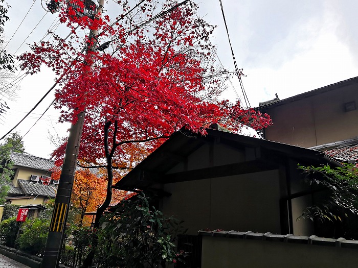 銀閣寺の前を通る小路の紅葉。