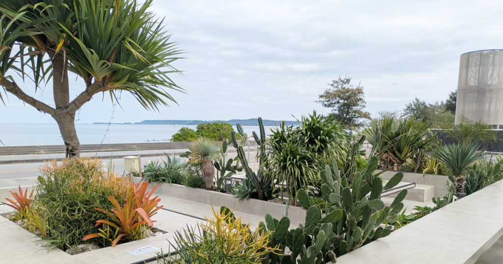 東海岸BBQTERUMA（TERUMA -east coast-）うるま市