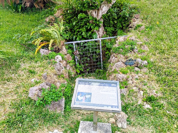 世界遺産 勝連城跡 - うるま市