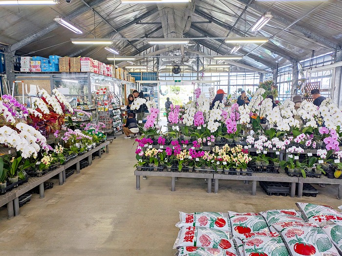 糸満 - 道の駅いとまん