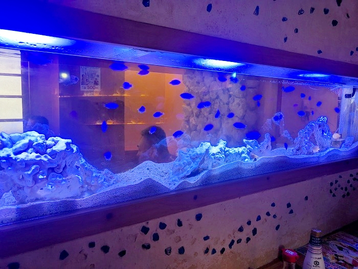 沖縄海鮮たらじさびら - 糸満市西崎