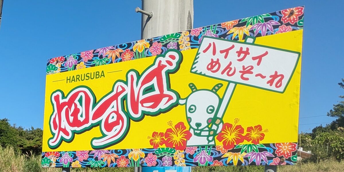 畑そば - 恩納村