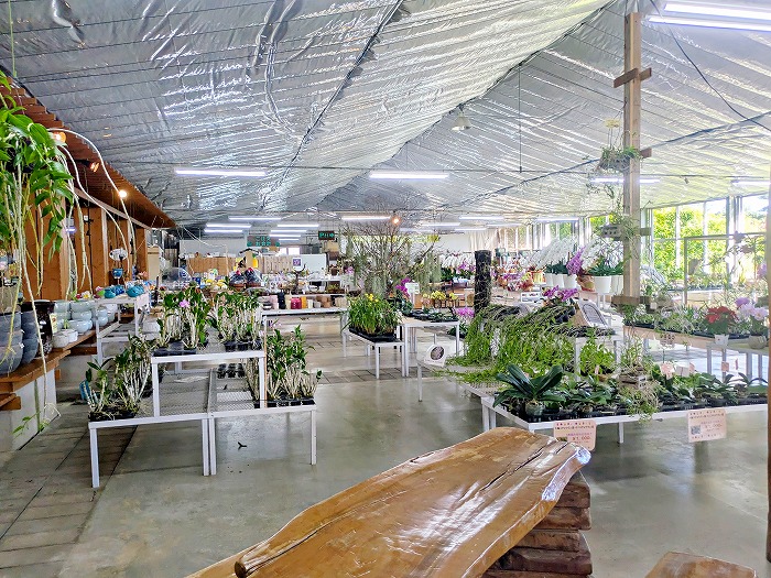 ビオスの丘 - 沖縄県うるま市