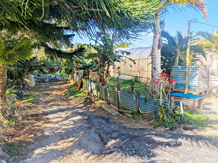 畑すば - 沖縄県恩納村