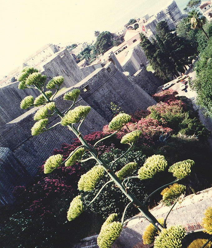 モンテネグロ アドリア海の要塞都市 ブドヴァ 旧ユーゴスラビアの城壁